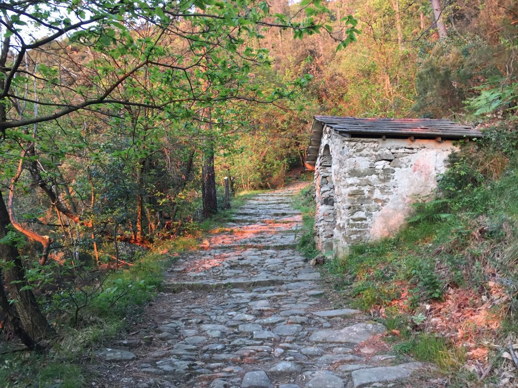 I santuari delle Cinque Terre