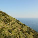 I terrazzamenti delle Cinque Terre