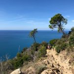 Cinque Terre Walking Park, July 2020