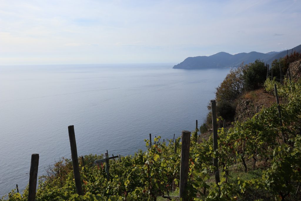 Via Beccara, Hiking in Cinque Terre