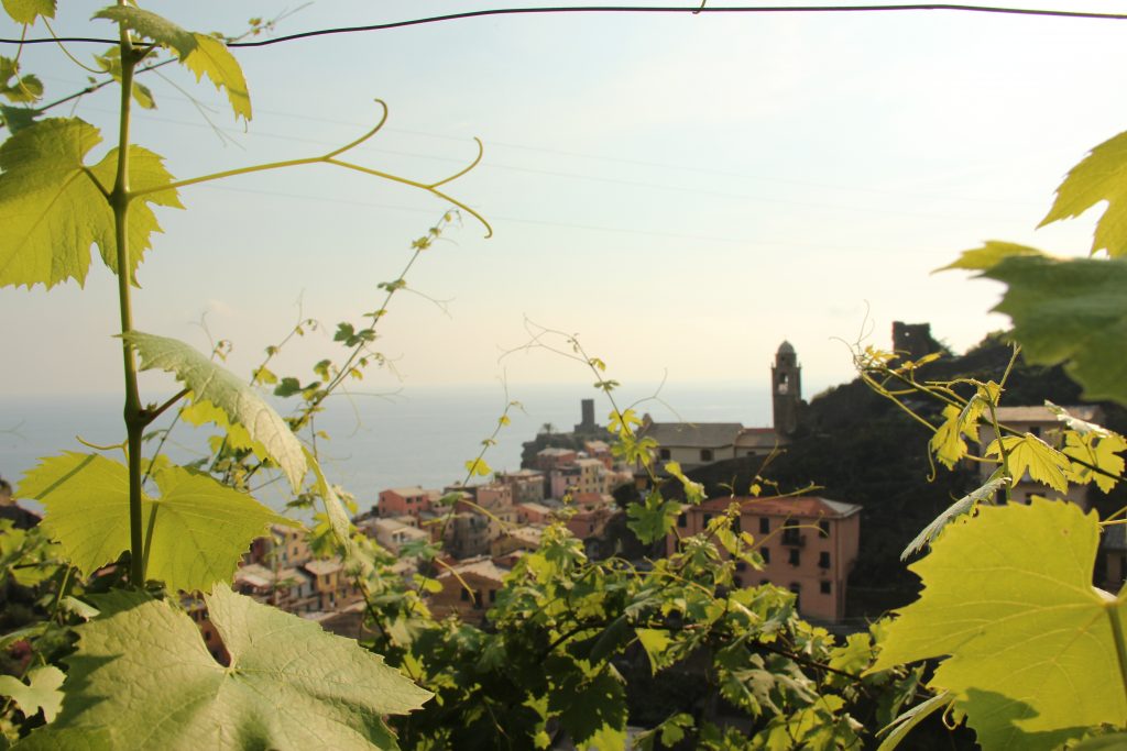 Cinque Terre