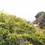 Cinque Terre Walking Park, September 2020