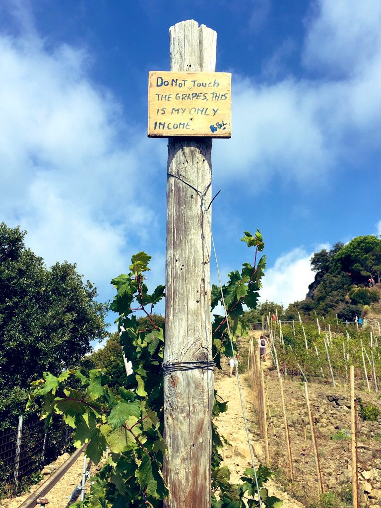 Hiking in Cinque Terre