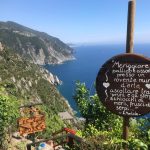 Visit a vineyard and taste wine in Riomaggiore