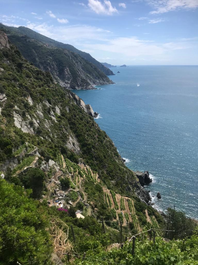 The oenological Possa experience in Riomaggiore