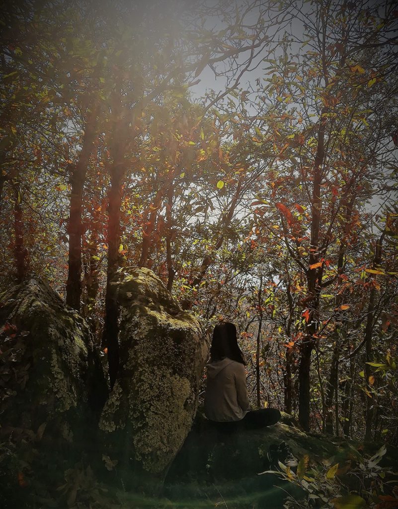 Holistic Hiking in Cinque Terre