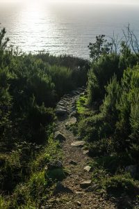 Holistic trekking in the Cinque Terre