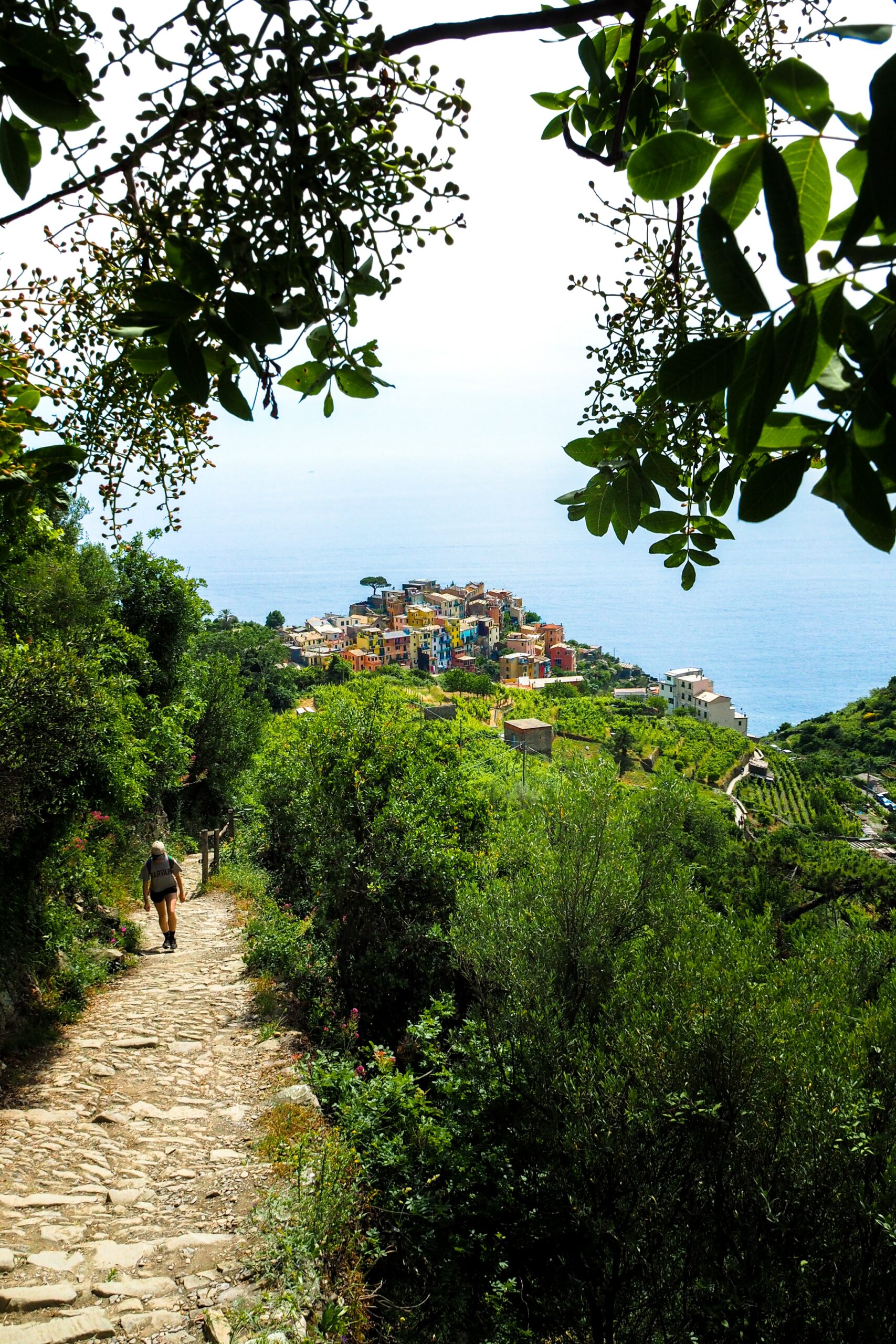 Visites guidées dans le parc des Cinque Terre