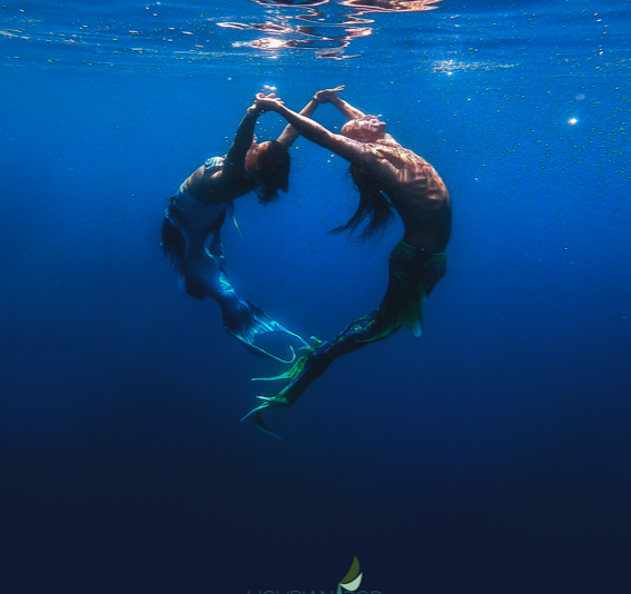 Nager avec des sirènes dans les Cinque Terre