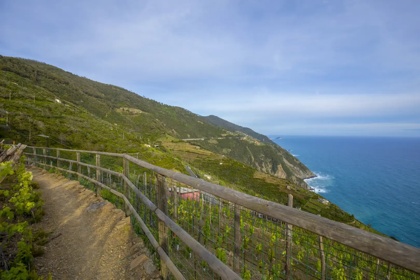 thumbnail From the vineyards to the cellar