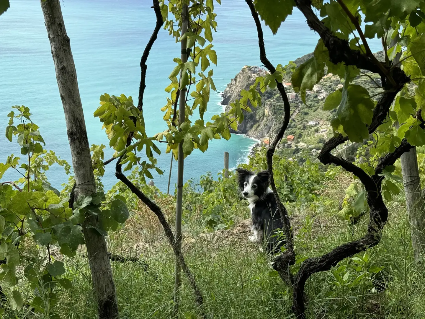 IMG 9797 Gigi Rubini