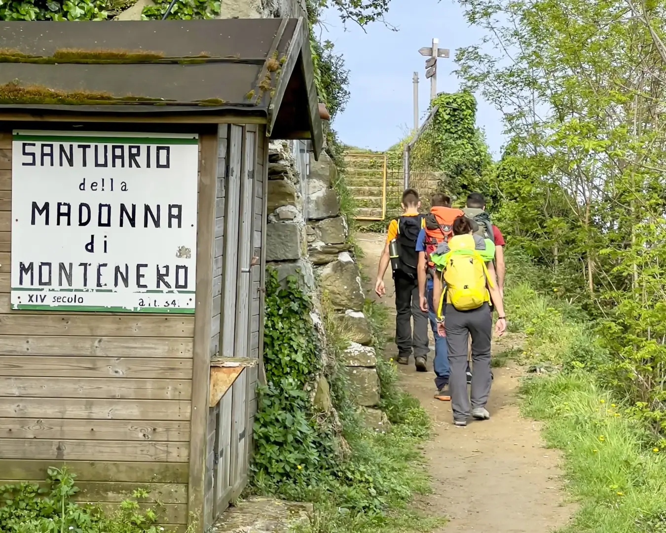 Santuario Di Nostra Signora Di Montenero 5