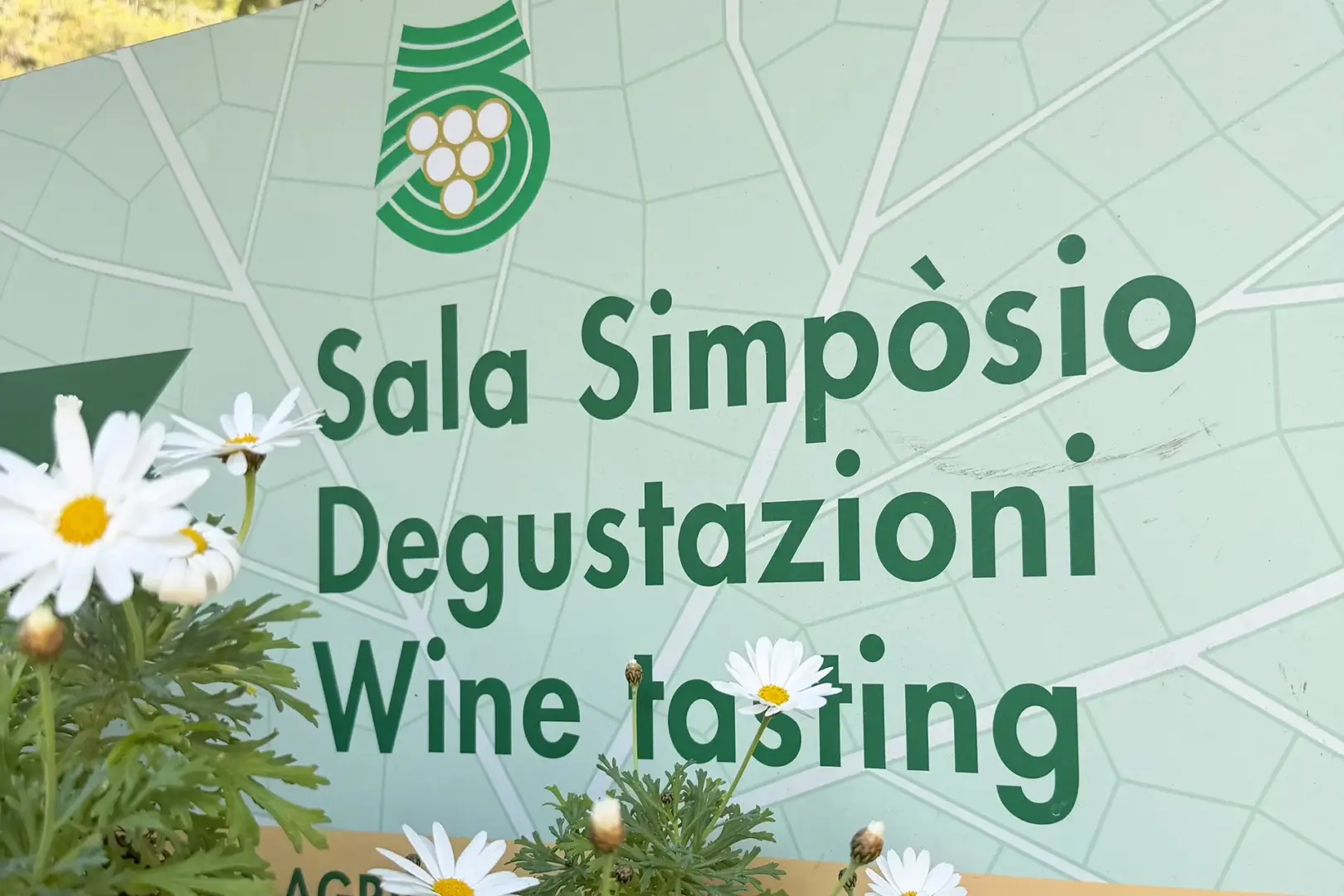 Cantina 5 Terre