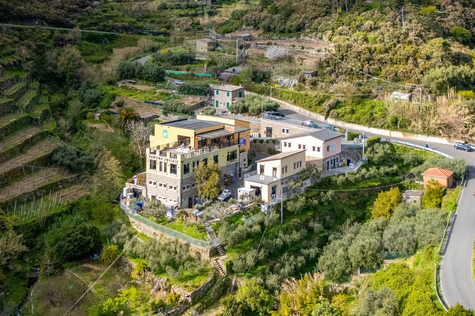 Cantina 5 Terre 7