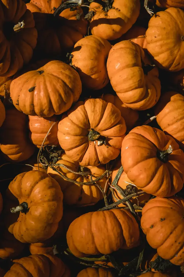 thumbnail Halloween Parade