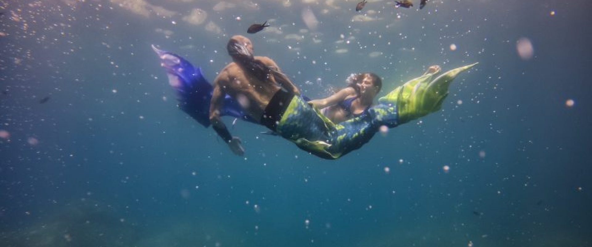 Nager avec des sirènes dans les Cinque Terre